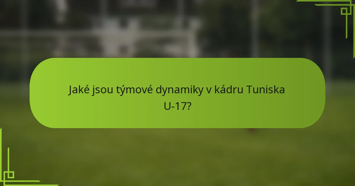 Jaké jsou týmové dynamiky v kádru Tuniska U-17?